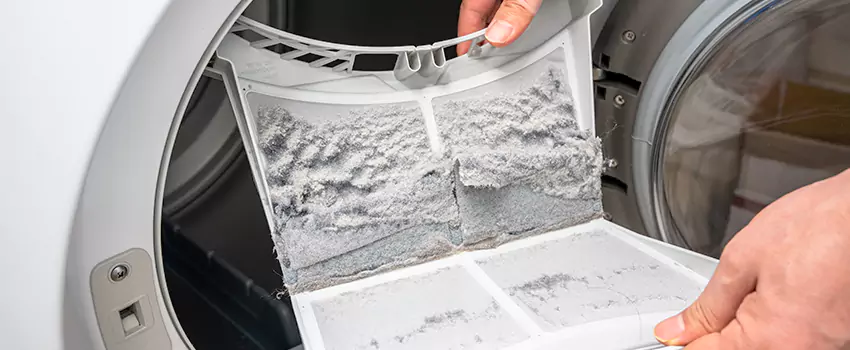 Best Dryer Lint Removal Company in Lino Lakes, Minnesota