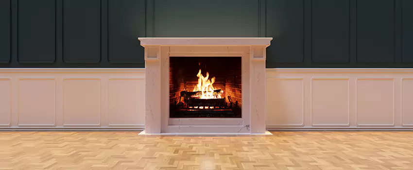 Napoleon Electric Fireplaces Inspection Service in Lino Lakes, Minnesota
