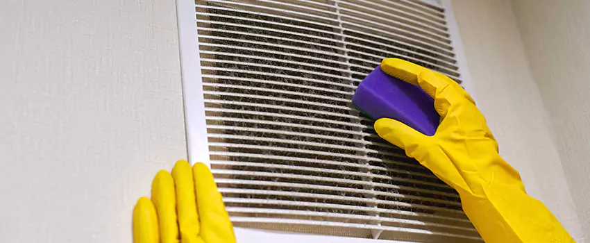 Vent Cleaning Company in Lino Lakes, MN