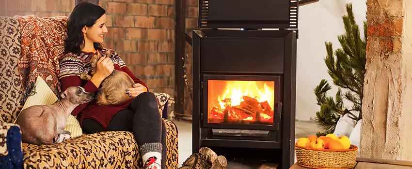 Wood Stove Chimney Cleaning Services in Lino Lakes, MN
