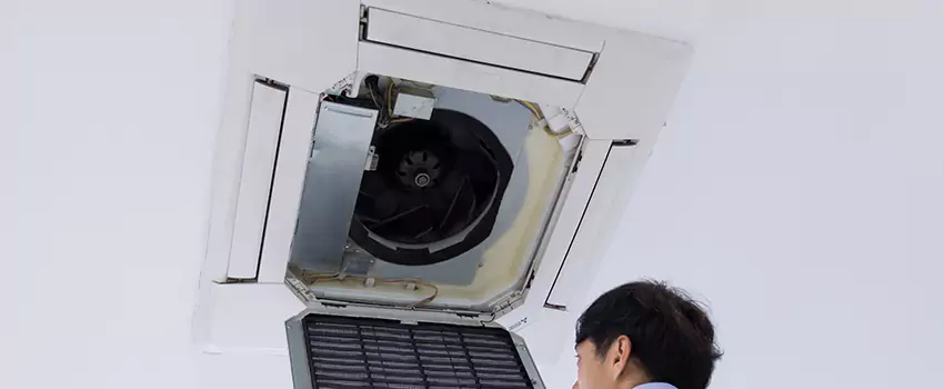 Benefits of Professional Air Duct Cleaning in Lino Lakes, Minnesota
