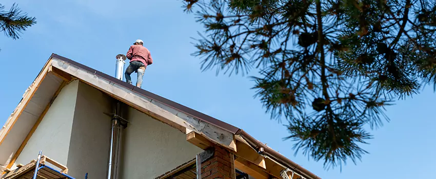 Birds Removal Contractors from Chimney in Lino Lakes, MN