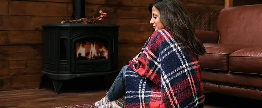 Fireplace Firebox Grate Replacement Services  in Lino Lakes, Minnesota
